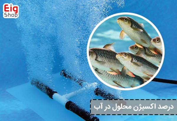 درصد اکسیژن محلول در آب - ای آی جی شاپ