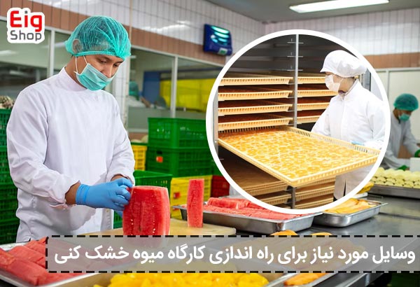 وسایل مورد نیاز برای راه اندازی کارگاه میوه خشک کنی - ای آی جی شاپ