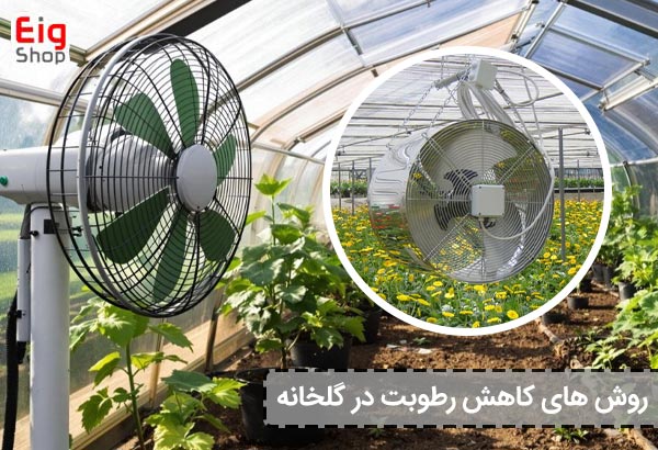 روش های کاهش رطوبت در گلخانه - ای آی جی شاپ