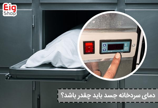 دمای سردخانه جسد باید چقدر باشد؟ - ای آی جی شاپ