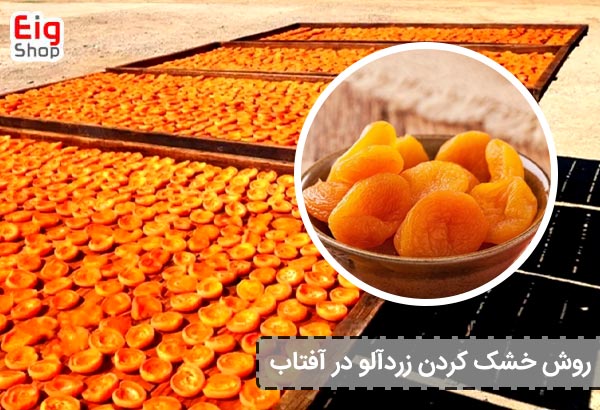 روش خشک کردن زردآلو در آفتاب - ای آی جی شاپ