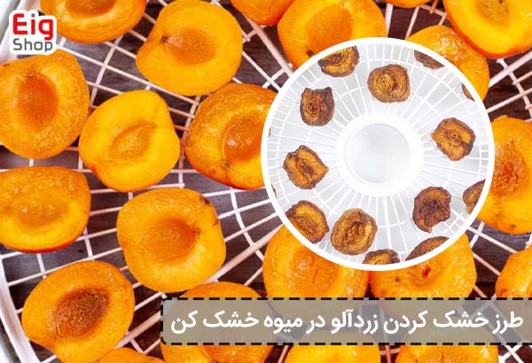 طرز خشک کردن زردآلو در میوه خشک ‌کن - ای آی جی شاپ