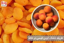 طریقه خشک کردن قیسی در خانه - ای آی جی شاپ