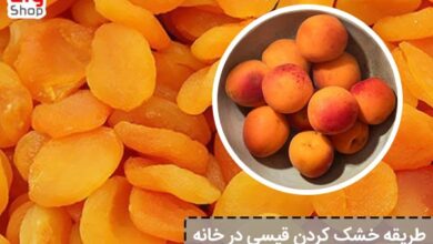 طریقه خشک کردن قیسی در خانه - ای آی جی شاپ