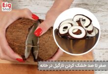 صفر تا صد خشک کردن نارگیل در خانه - ای آی جی شاپ