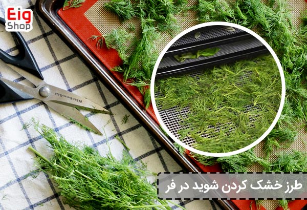 طرز خشک کردن شوید در فر - ای آی جی شاپ