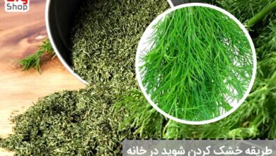 طریقه خشک کردن شوید در خانه - ای آی جی شاپ
