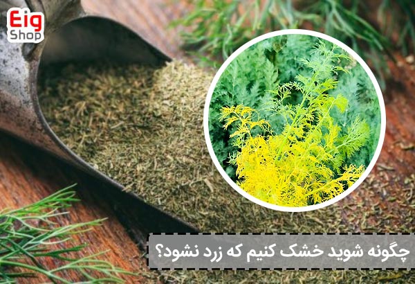 چگونه شوید خشک کنیم که زرد نشود؟ - ای آی جی شاپ