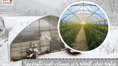 چگونه دمای گلخانه را در زمستان ثابت نگهداریم؟ - ای آی جی شاپ