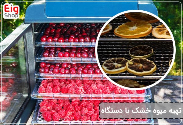 تهیه میوه خشک با دستگاه