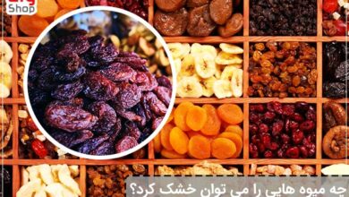 چه میوه هایی را می توان خشک کرد؟