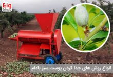 روش جدا کردن پوست سبز بادام