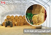 نگهداری و انبار علوفه دام