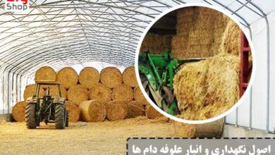 نگهداری و انبار علوفه دام