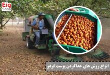انواع روش های جدا کردن پوست گردو