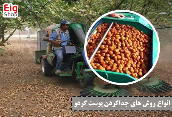 انواع روش های جدا کردن پوست گردو