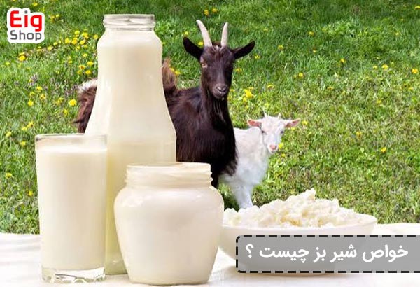 خواص شیر بز چیست؟ - ای آی جی