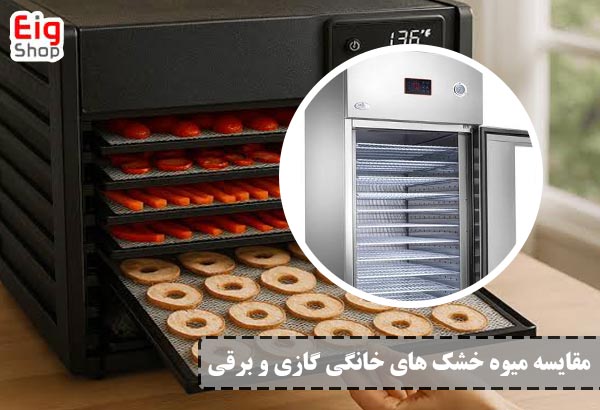 مقایسه میوه خشک های خانگی گازی و برقی