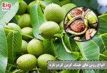 انواع روش های خشک کردن گردو - ای آی جی
