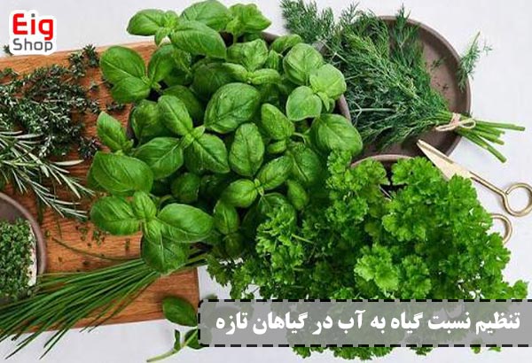 نسبت آب به گیاه در گیاهان تازه - ای آی جی
