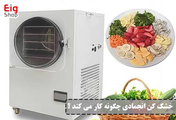 خشک کن انجمادی - ای آی جی