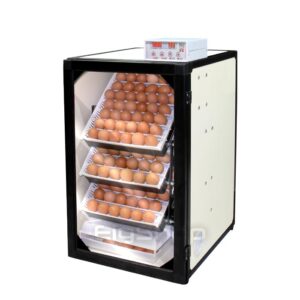 168 egg small industrial incubator - eig-shop