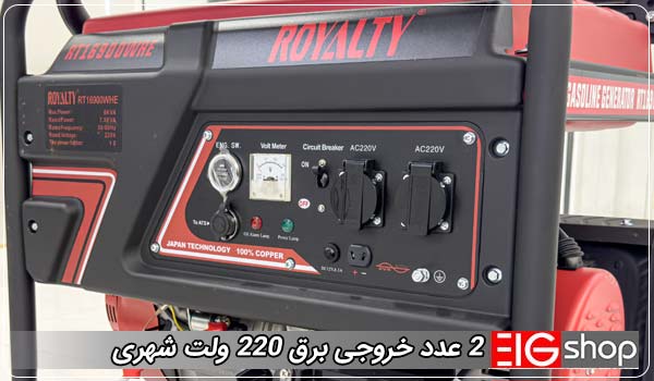 2 عدد خروجی برق 220 ولت شهری - ای آی جی شاپ
