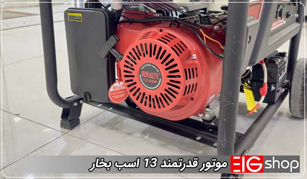 موتور قدرتمند 13 اسب بخار - ای آی جی شاپ