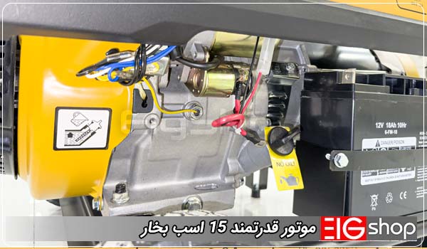 موتور برق 9 کیلووات رویال تی (12 اسب بخار) 3 موتور قدرتمند 15 اسب بخار - ای آی جی شاپ